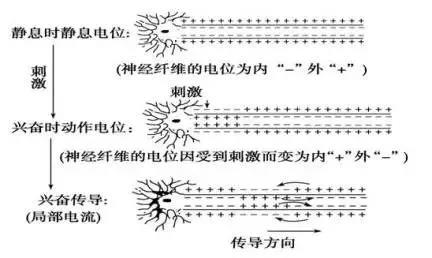 微信图片_20190604160925